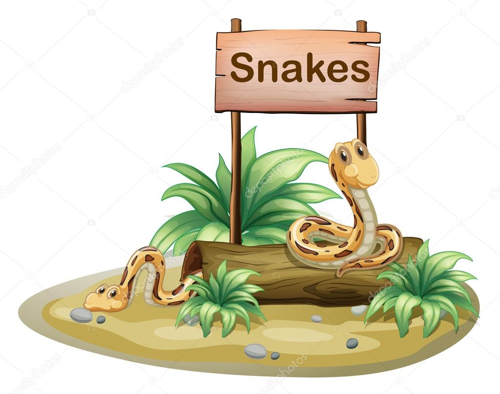 A wooden signboard with snakes