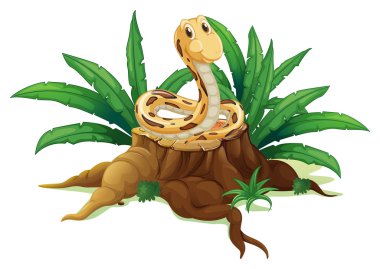 A trunk with a snake vector A trunk with a snake vector