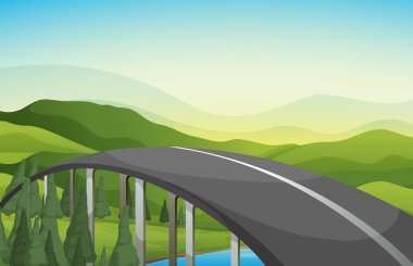 çam ağaçları olan eğri yol