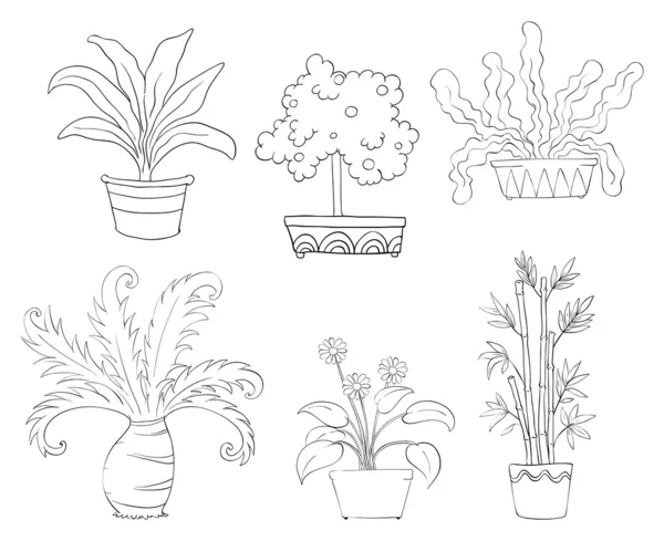 Six different kinds of plants — Stock Vector