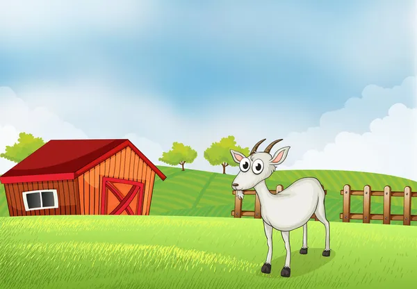 Una cabra blanca en la granja — Vector de stock