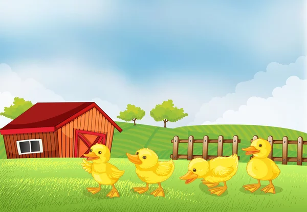 Four chicks in the farm with a barn and a wooden fence — Stock Vector