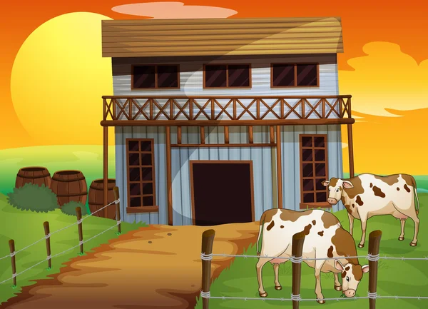 Dua sapi di peternakan - Stok Vektor