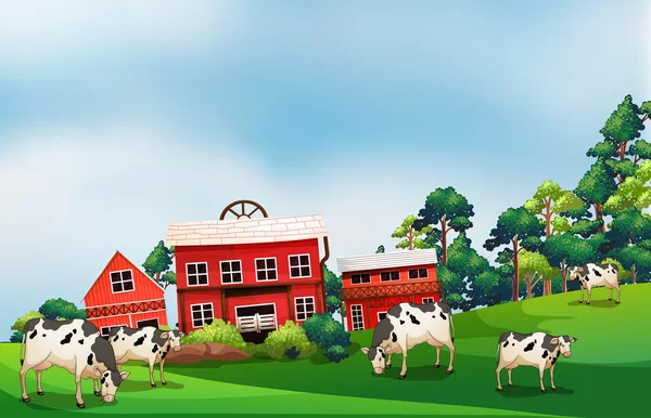 Cows in the farm — Stock Vector