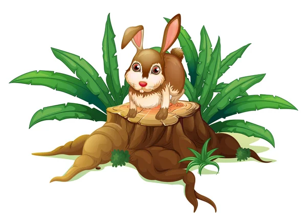 木の上のウサギ — ストックベクタ