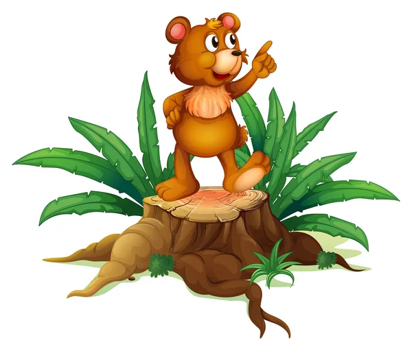 bir tahta üzerinde bir yavru ayı