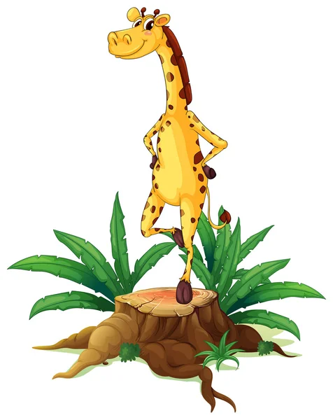 A giraffe standing above a chopped wood — Stock Vector