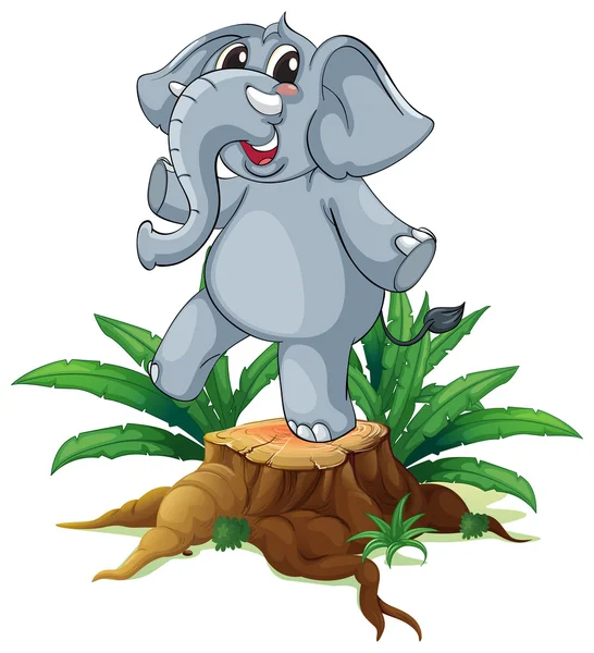 A tree with a young gray elephant — Stock Vector