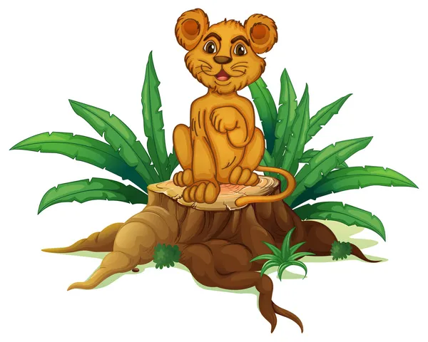 Un tronco con un giovane leone — Vettoriale Stock