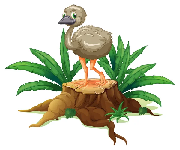 A tree with an ostrich — Stock Vector