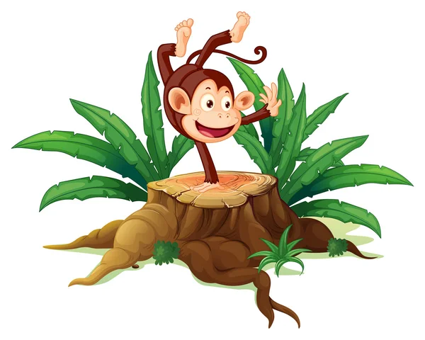A tree with a playful monkey — Stock Vector