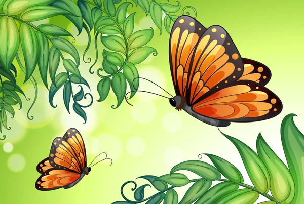 Un diseño con mariposas y plantas — Vector de stock