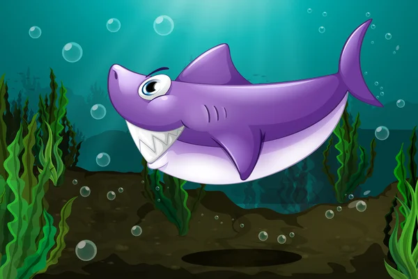 Un grande squalo sotto il mare — Vettoriale Stock