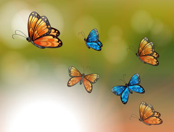 Kertas khusus dengan kupu-kupu oranye dan biru - Stok Vektor