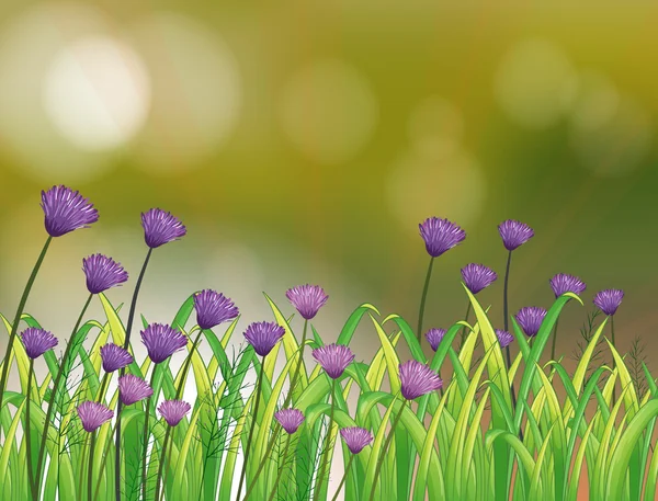 Um papelaria com um jardim de flores violetas — Vetor de Stock