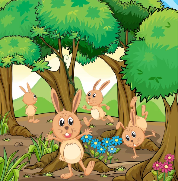 Quatro coelhos brincando na floresta — Vetor de Stock