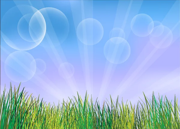 Les herbes vertes — Image vectorielle