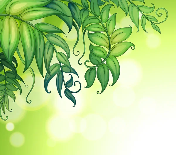 Un papel especial con hojas verdes — Vector de stock