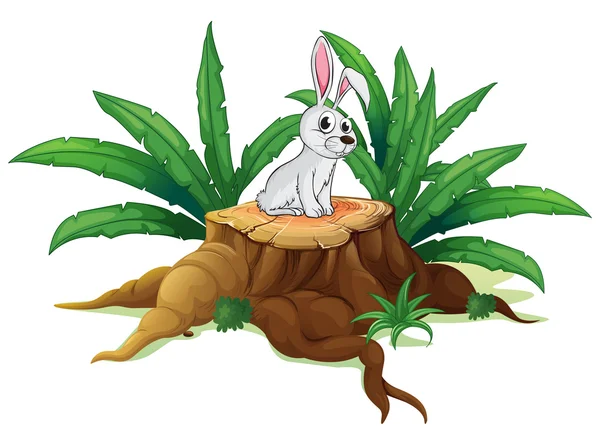 Um coelho acima de um tronco —  Vetores de Stock