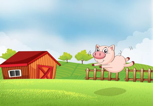 A pig jumping at the farm — Stock Vector