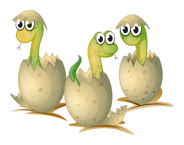 Három újonnan repedt tojás egy kígyó — Stock Vector