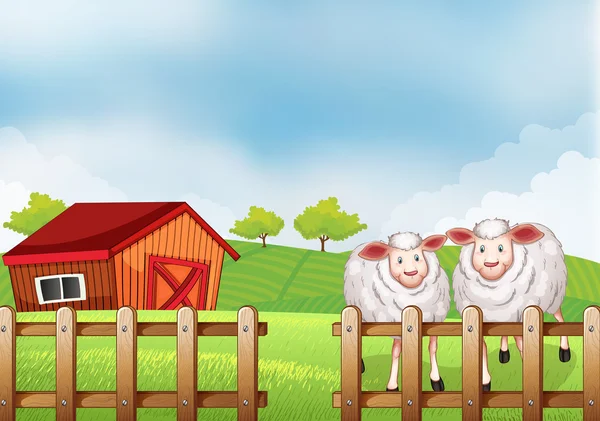 Sheeps inside the wooden fence with a barn — Stock Vector