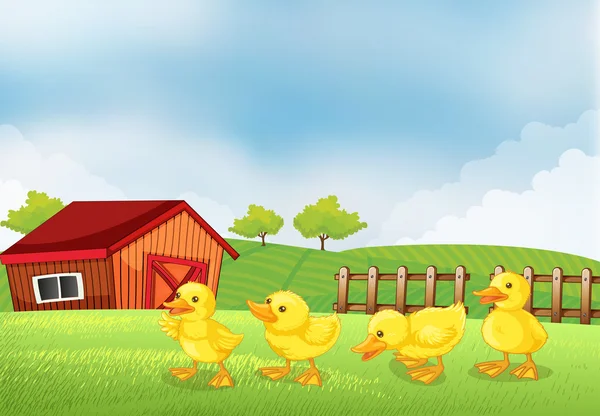 Four chicks in the farm with a barn and a wooden fence — Stock Vector
