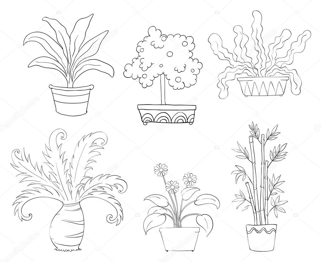 Six different kinds of plants