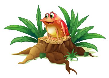 bir kurbağa ile gövde