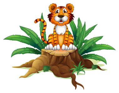 bir ağacın oturan kaplan