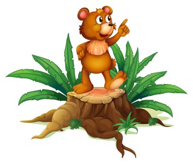 bir tahta üzerinde bir yavru ayı