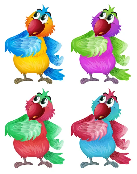 Four colorful parrots — Stock Vector