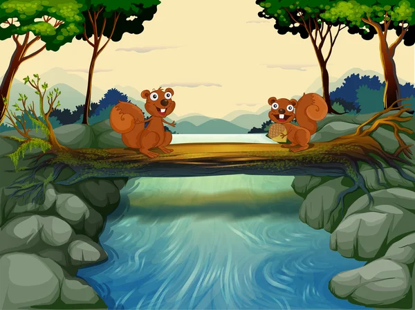 Dwie wiewiórki w rzece — Wektor stockowy