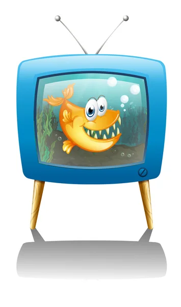 Eine Fernsehsendung über Fische — Stockvektor