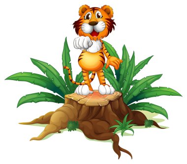 üst bir kaplan ile gövde