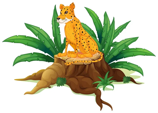 Un tronco con un guepardo — Vector de stock