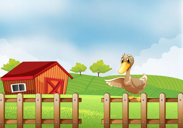 A duck at the farm — Stock Vector