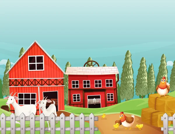Una granja con cabras y pollos — Vector de stock