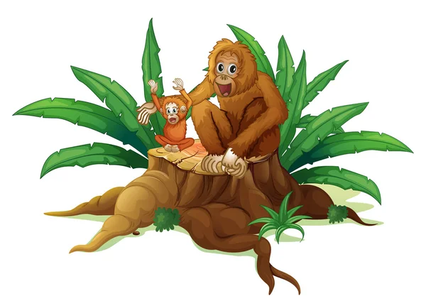 Küçük ve büyük bir orangutan ile gövde — Stok Vektör