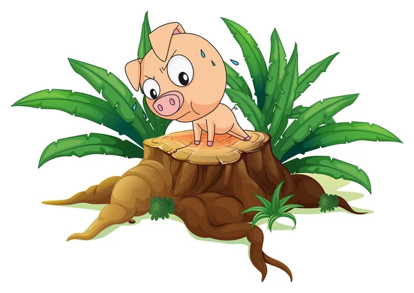 Ein Schwein, das über einem Baum turnt — Stockvektor