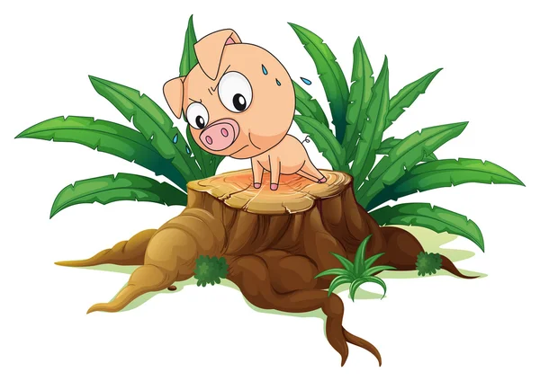 A pig exercising above a tree — Stock Vector