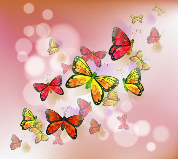 Канцтовари з групою метеликів — стоковий вектор