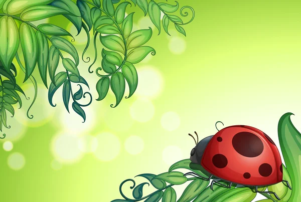 Ein Käfer über den grünen Blättern — Stockvektor