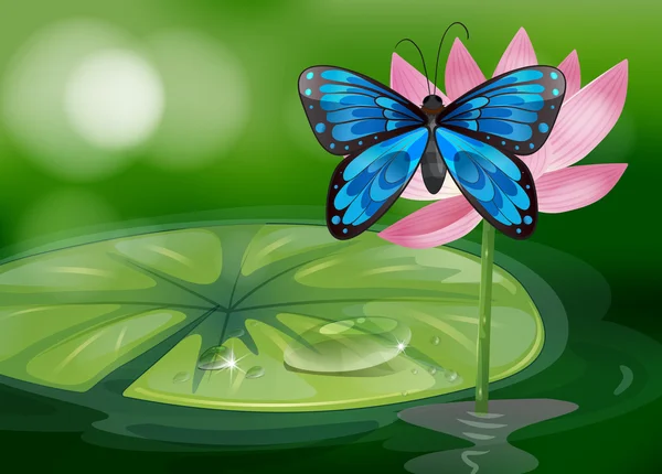 一只蓝色的蝴蝶和粉红色的花在池塘 — 图库矢量图片
