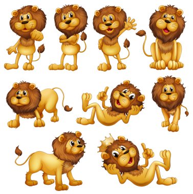 Lions in different positions