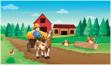 bir çiftçi ve onun evcil hayvan çiftliği