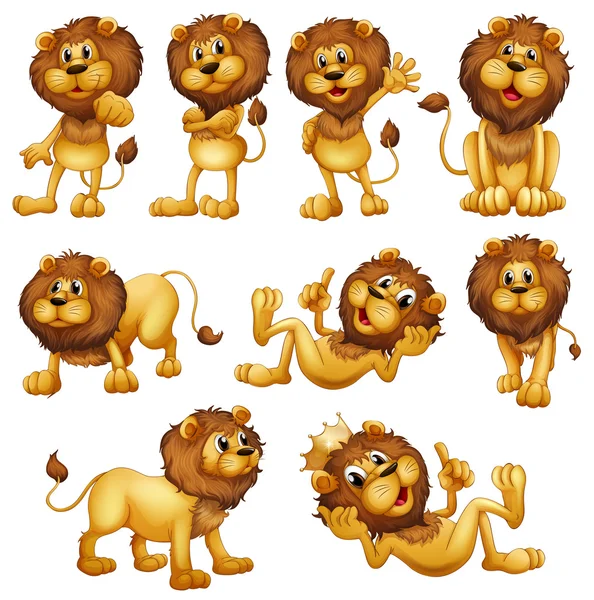 Leones en diferentes posiciones — Vector de stock