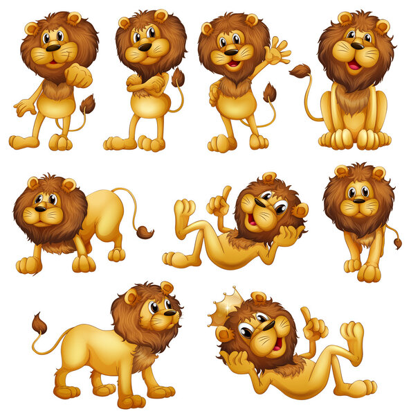 Lions in different positions