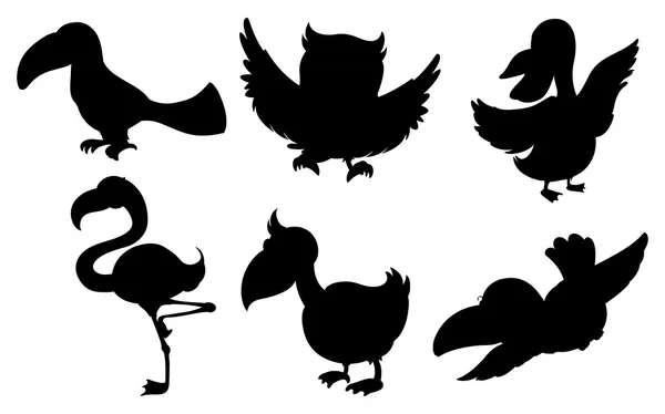 Silhouettes of birds — Stock Vector