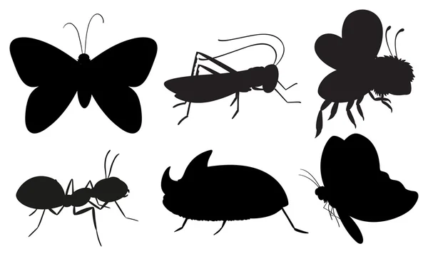 Fekete színű, rovarok — Stock Vector